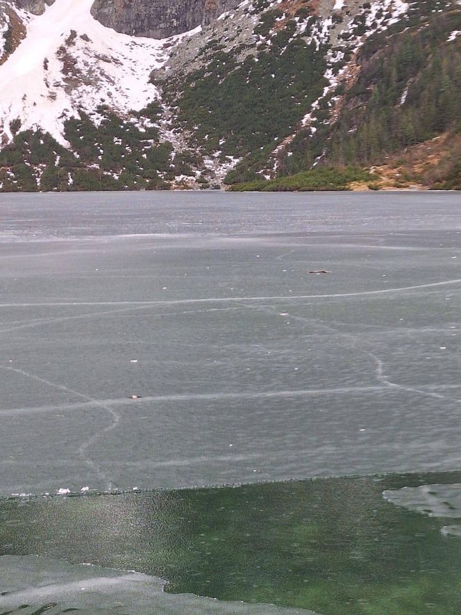 Morskie Oko zaśmiecone jak nigdy. To sprawka turystów. TPN opublikował zdjęcia.