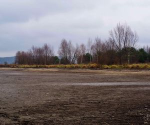 Mroczne klimaty nad zalewem brodzkim. Idealne na spacer dla fotografów