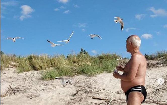 Korwin-Mikke w MAJTKACH podziwia ptaki i zaprasza na...