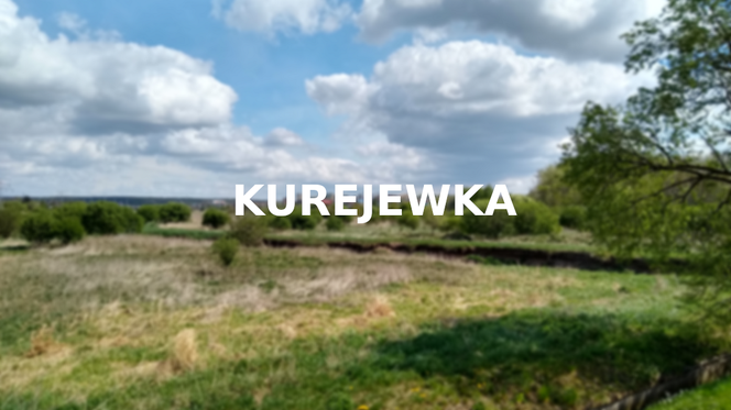 Kurejewka