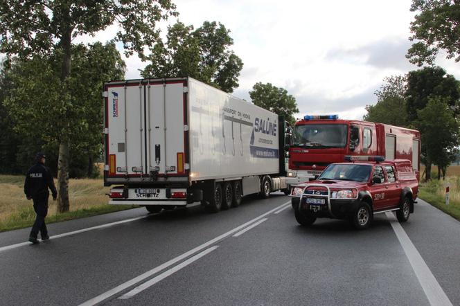 Noskowo. Koszmarny wypadek. Audi rozbiło się na drzewie. Dwie osoby nie żyją