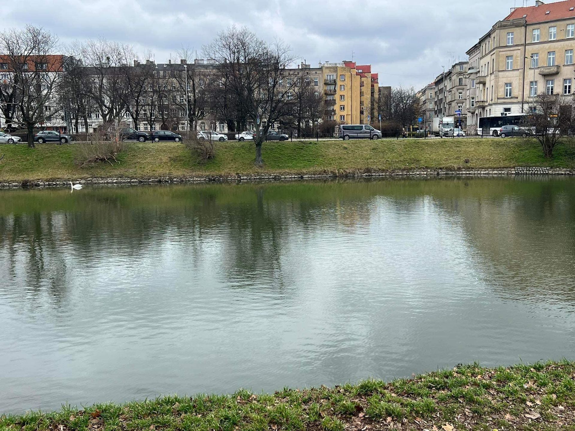 Lokalizacja projektowanej Kładki Łąbędziej we Wrocławiu