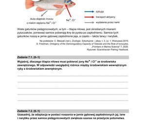 Matura 2025: biologia 9.05.2025. Arkusze CKE i odpowiedzi [Formuła 2015]