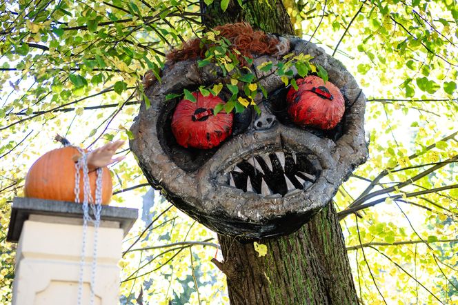 Willa na Jaśkowej Dolinie w Gdańsku