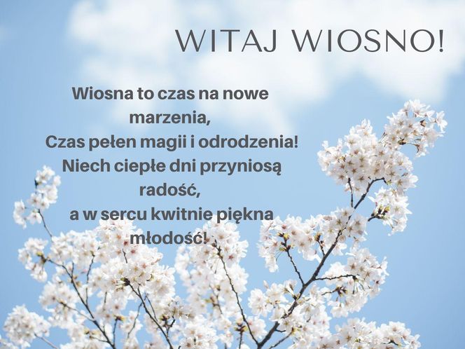 Dzień wiosny - kartki z życzeniami
