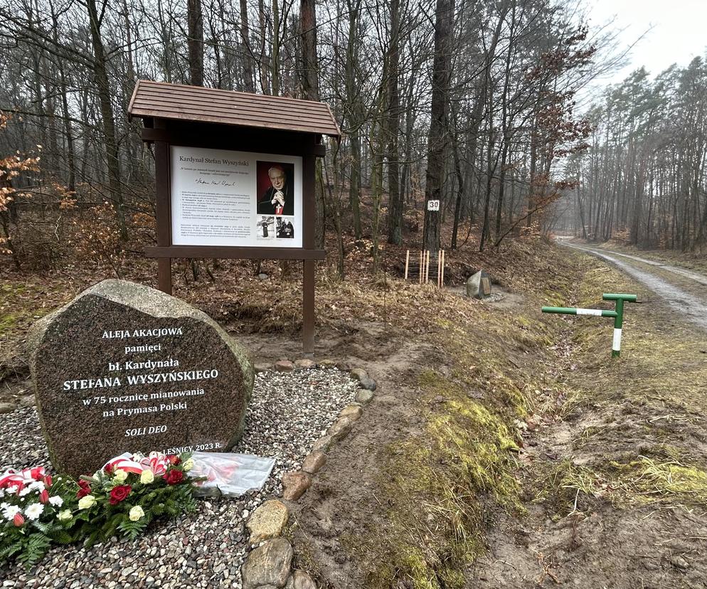 Wyjątkowa droga krzyżowa w środku lasu pod Gorzowem