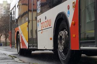 Gorzów: Specjalne i BEZPŁATNE autobusy do szpitala
