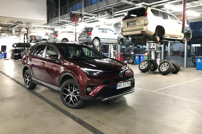 Przegląd hybrydy po 15 000 km. Ile kosztuje wizyta Toyoty RAV4 Hybrid w ASO?