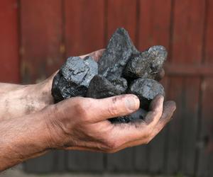 Polacy domagają się dopłat do węgla. Jaki pomysł na dodatek węglowy ma nowy rząd?