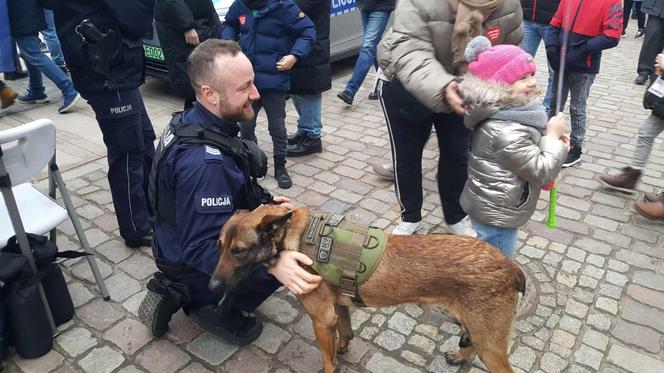 W Bydgoszczy grają razem z WOŚP. Wolontariusze, mieszkańcy i artyści działają razem, aby zebrać jak najwięcej pieniędzy 