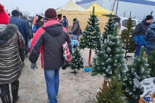 Giełda samochodowa w Łodzi. Przyciąga klientów, ale sprzedawcy nie są zadowoleni