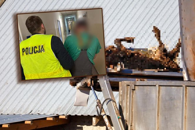 Potworny los zwierząt w Idzbarku. "To była umieralnia". Gospodarz usłyszał zarzuty!