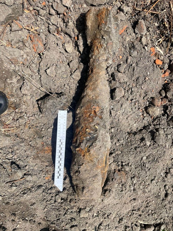 Saperzy interweniowali w centrum Tarnowa. Blisko 200 osób ewakuowanych