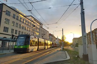 Nowy, lepszy tramwaj do Mierzyna w Szczecinie. Ocaleje 80% drzew, trasa lepiej obsłuży osiedla