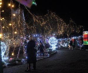 Tak wygląda teraz dom bydgoskich Griswoldów! Zdobi go prawie 250 tys. światełek [ZDJĘCIA]