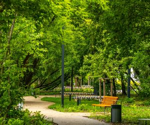 Park linearny przy ul. Suwak w Warszawie