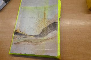 Blisko kilogram marihuany był ukryty w przesyłkach pocztowych