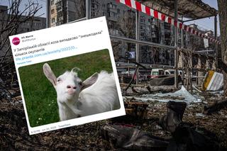 Ukraińska koza wysadziła w powietrze rosyjskich żołnierzy! Uruchomiła reakcję łańcuchową
