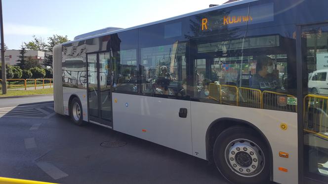 Pierwszy kurs autobusu przegubowego w Grudziądzu