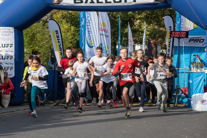 Wild Run 2019. Znamy zwycięzców charytatywnego biegu we wrocławskim zoo