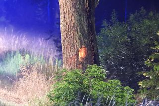 Roztrzaskał się mercedesem na drzewie. Nie miał żadnych szans