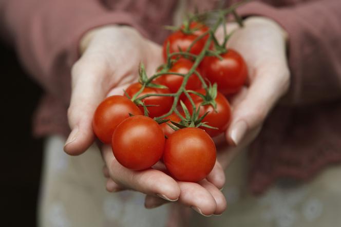 Likopen w pomidorach zmniejsza ryzyko zawału i rozwoju nowotworów