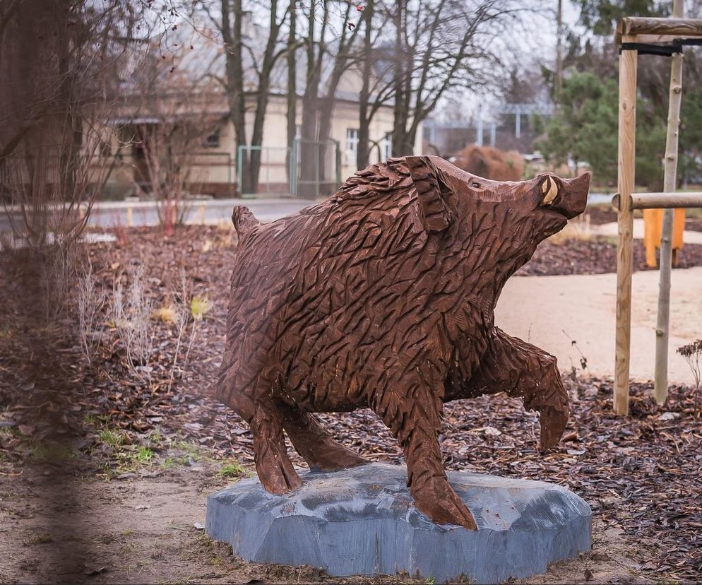 Zielony zakątek przy ulicy Kozielskiej na Woli