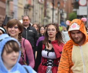 Juwenalia UMK w Toruniu: Piękny, bajkowy Pochód w ramach Piernikaliów. Mamy zdjęcia