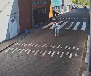 Ukradła i schowała się przed policją za drzewem