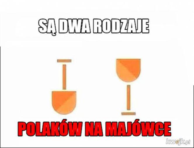 Majwówka 2020 memy