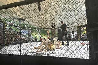 Szczecin Seaside BattleS