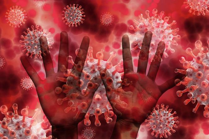 Koronawirus nie odpuszcza! Ponad 500 nowych zakażeń w Wielkopolsce