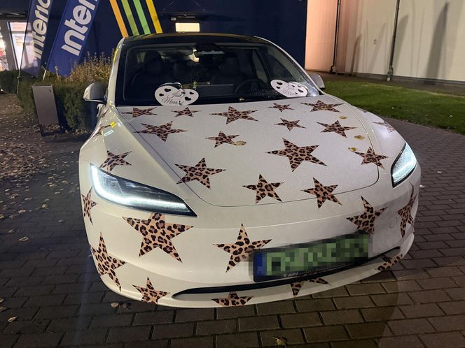 "Taniec z gwiazdami" -  odcinek 8 kulisy