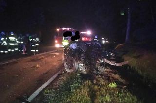 Wypadek na DK 79 między Luszycą i Strużkami