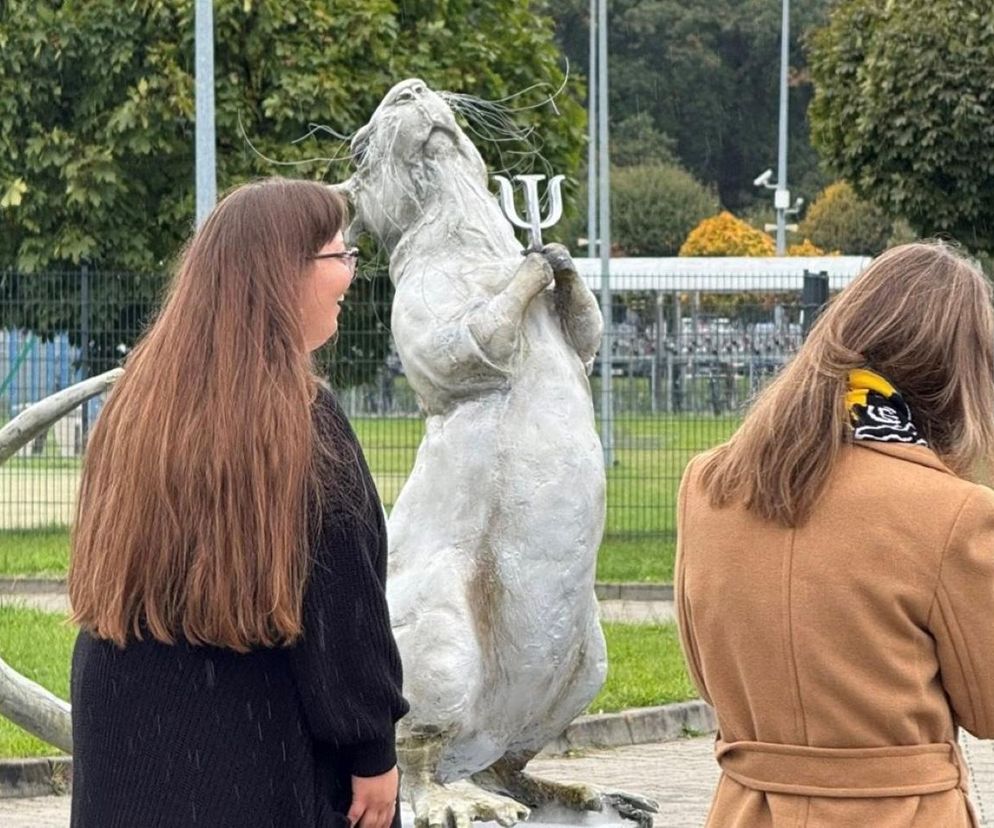 Wrocław: Pomnik szczura przed uczelnią