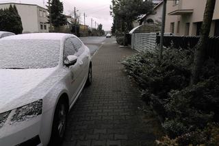 Atak zimy w Poznaniu! Taka pogoda w kwietniu to rzadkość 