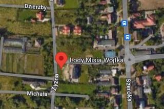 Lodziarnie w Szczecinie 