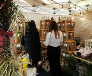 Cavaliada na Torwarze 2025