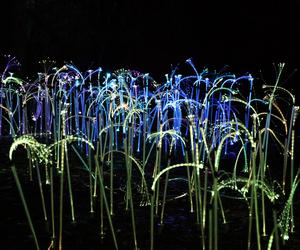 „Historia światła” po raz ostatni. Park iluminacji w Lublinie kończy sezon