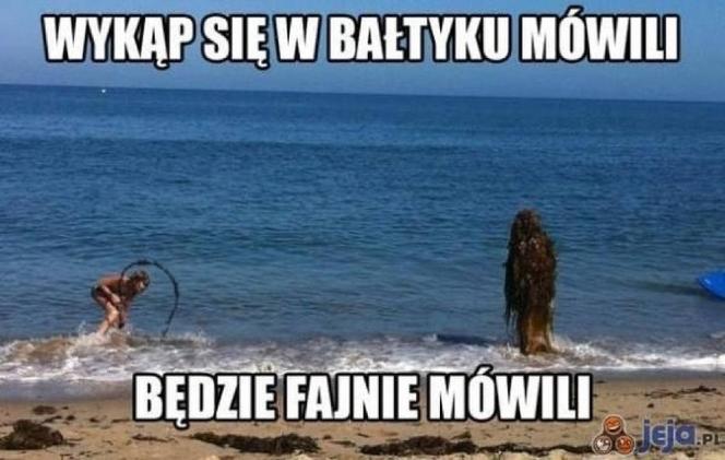 Wakacje rozpoczęte! Polacy ruszyli na plaże! Zobacz najlepsze MEMY!