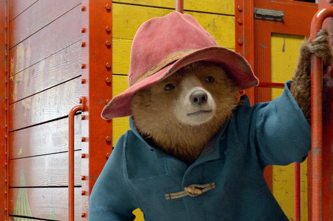 Miś Paddington