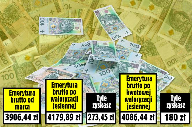 SG JESIENNA WALORYZACJA 7 PROC. PLUS 180 ZŁOTYCH_27