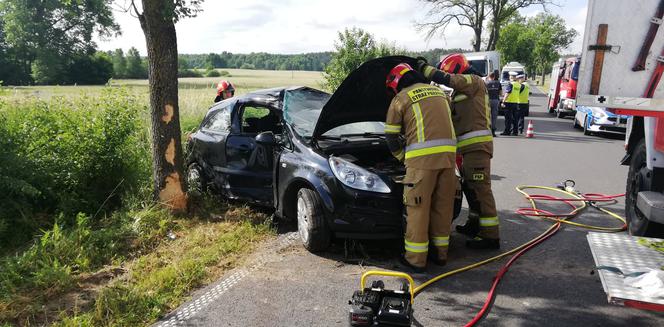 Kujawsko-pomorskie: Osobówka wbiła się w drzewo! W środku uwięziona kobieta [ZDJĘCIA]