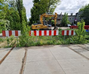 Torowisko tramwajowe na Babiej Wsi w Bydgoszczy zarośnięte chwastami. Tramwaje zniknęły stąd lata temu