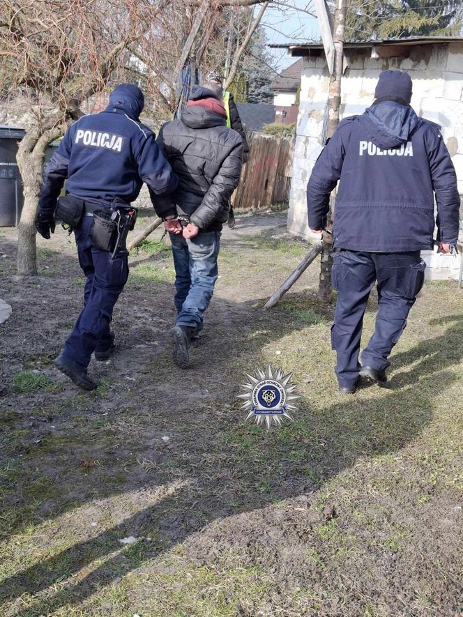 "Nie dał się pogłaskać". 42-latek poćwiartował kota. Internauta: "ZŁO, które trudno wyrazić słowami"