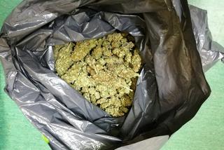 Herbatka z marihuany? Kuchenne szafki wypełnione po brzegi narkotykami i dilerzy w rękach policji [GALERIA]