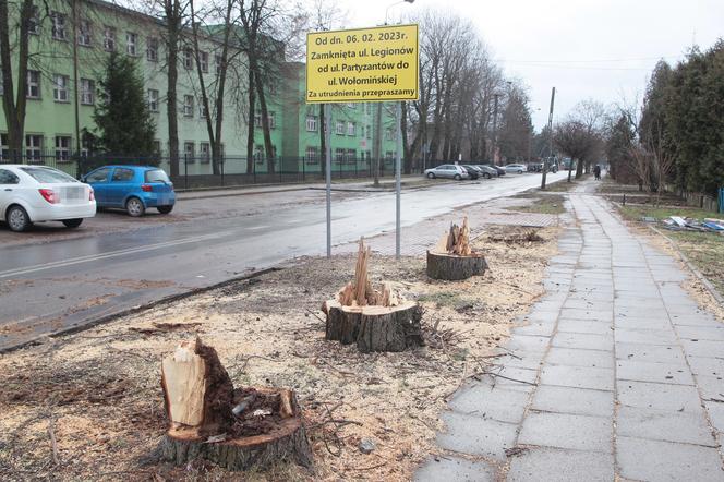  W Wołominie wycinają drzewa na potęgę! Mieszkańcy są wściekli