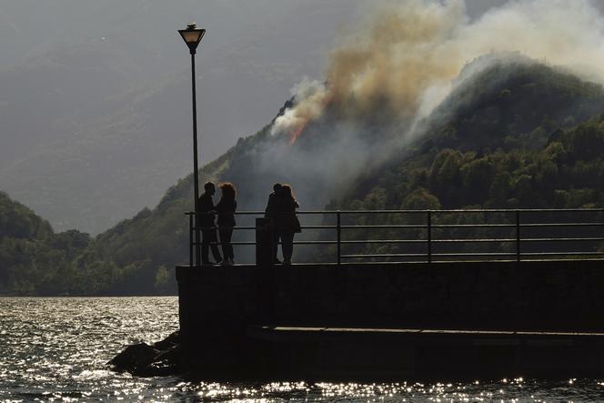Pożary w całej Europie. Ekstremalne temperatury są śmiertelnym zagrożeniem