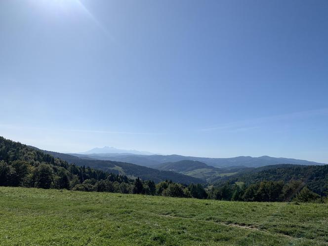 Bacówka Nad Wierchomlą w Beskidzie Sądeckim. To prawdziwy turystyczny hit!