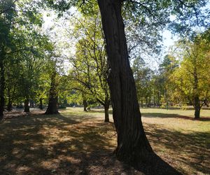 Park Konstytucji 3 Maja